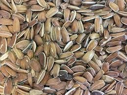 تصویر تخمه قرمز - یک کیلوگرم Red sunflower seeds