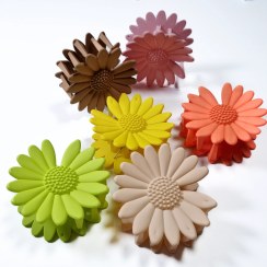 تصویر کلیپس بابونه بزرگ 