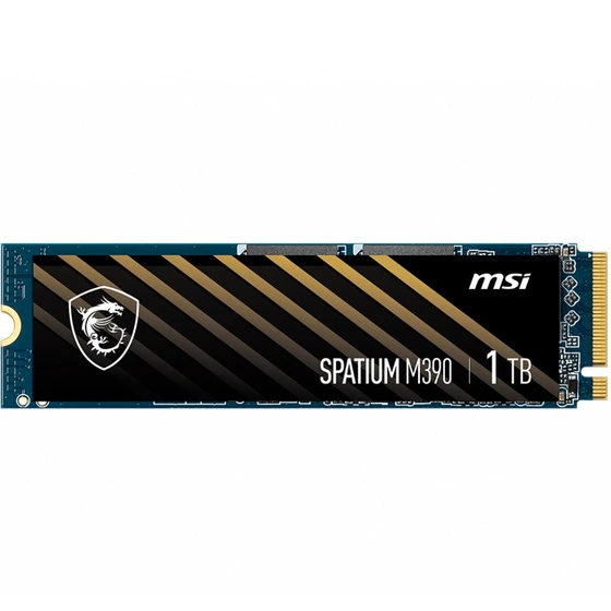 Spatium M Nvme M