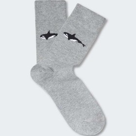 تصویر ست پیژامه مردانه Mango 