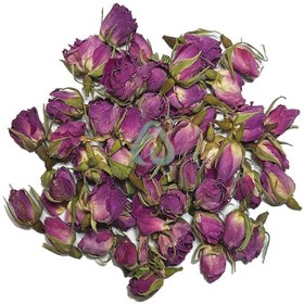 تصویر غنچه گل محمدی لاله زار ا Flower bud Flower bud