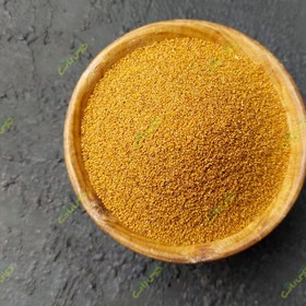 تصویر خاکشیر ممتاز 