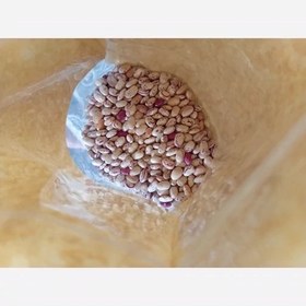 تصویر لوبیا چیتی محلی درجه یک 