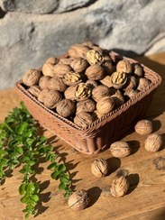 تصویر گردوی درجه یک 