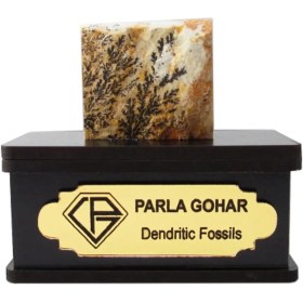 تصویر سنگ شجر فسیلی (دندریتی ) کد 2201 