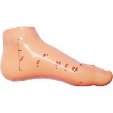تصویر مولاژ طب سوزنی پا (مخصوص پای کوچک) 