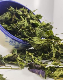 تصویر بادرنجبویه 