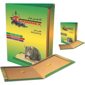 تصویر چسب موش کتابی 