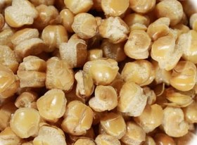 تصویر گندمک (گندم شور) 