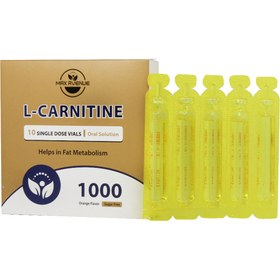 تصویر ویال خوراکی ال کارنیتین 1000 میلی گرم بسته 10 عددی مکس اونیو Max Avenue L Carnitine 1000 Oral 10 Vials