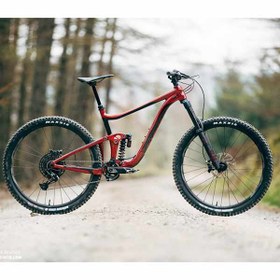 تصویر دوچرخه کوهستان جاینت مدل (2020) Reign 29 SX 