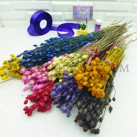 تصویر گل خشک فندقی 