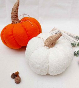 تصویر کدو حلوایی تدی - کدو تدی 