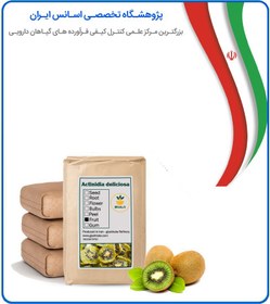 تصویر میوه کیوی خشک فله 