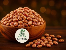 تصویر لوبیا چیتی 