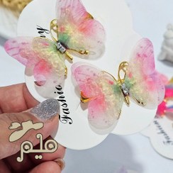 تصویر انبری پروانه حریر 