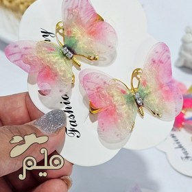 تصویر انبری پروانه حریر 