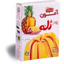 تصویر پودر ژله آناناس آمون 100 گرمی 