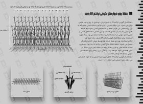 تصویر حفاظ شاخ گوزنی تراکم 78 ردیف 