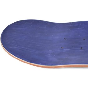 تصویر تخته اسکیت برد Toy Machine Romero Buggin Out 