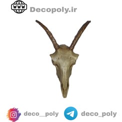 تصویر دیوار کوب کله بز 