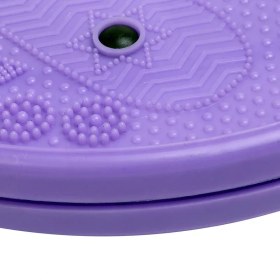 تصویر دیسک چرخونک تن زیب 