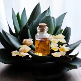 تصویر روغن کندر 