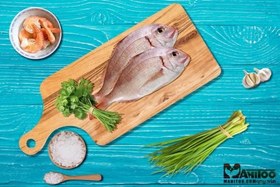 تصویر ماهی شانک (کخو) 