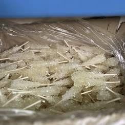 تصویر نبات شاخه‌ای سفید 