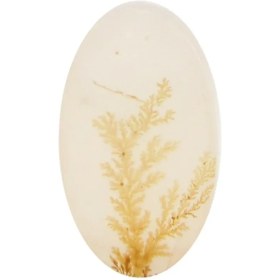 تصویر سنگ شجر کد 3045 