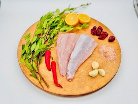 تصویر ماهی سکن 