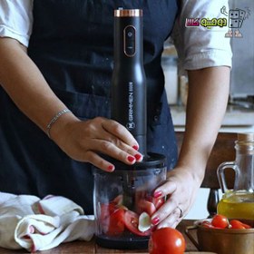 تصویر گوشت کوب برقی گریمن مدل GR-HBS350 Grimmen GR-HBS350 Hand Blender