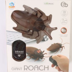 تصویر سوسک کنترلی غول پیکر Giant control cockroach