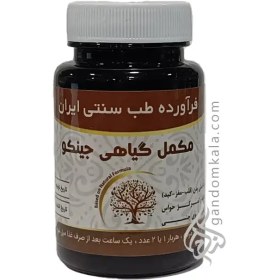 تصویر مکمل گیاهی جینکو (تقویت کننده مغز و قلب) 