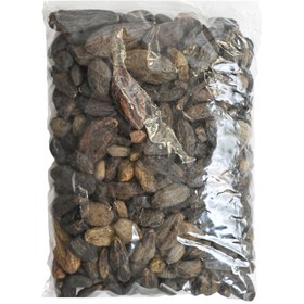 تصویر هلیله سیاه 