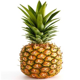 تصویر اناناس یک کیلو 