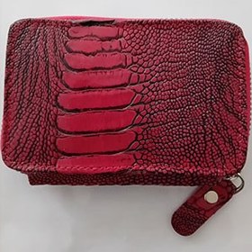 تصویر جاکارتی‌دور‌زیپ‌ 