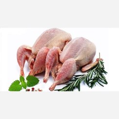 تصویر گوشت بلدرچین 3 عددی پاک شده 
