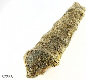 تصویر عرج جبلی قدمت دار ومعدنی 