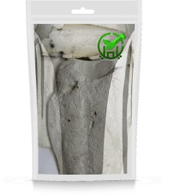 تصویر کف دریا 