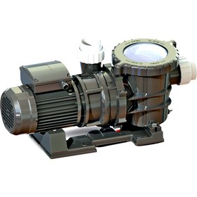 تصویر پمپ استخری نوید موتور 2 اسب سه فاز NAVID MOTOR STPT200 