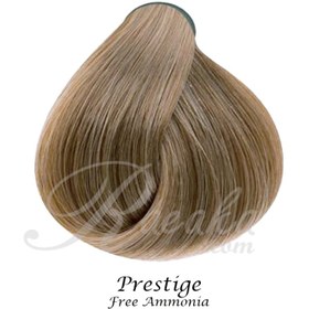 تصویر رنگ مو گیاهی نیو پرستیژ بلوند زیتونی خیلی روشن شماره 9.3 حجم 100 میلی لیتر New Prestige Very Light Matt Blonde Herbal Hair Color No.9.3 100ml