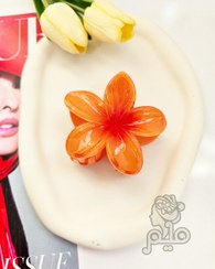 تصویر کلیپس پلومریا پک ۳ عددی 