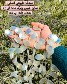 تصویر صدف طبیعی اشکی خیلی بزرگ 