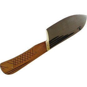 تصویر پوست کن مانی 