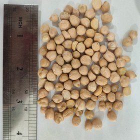 تصویر نخود فلافلی 