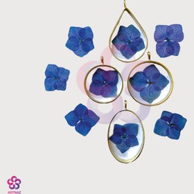 تصویر گل خشک هورتانسیا 