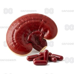 تصویر کپسول عصاره گانودرما لوسیدوم (۳۰ عدد) 