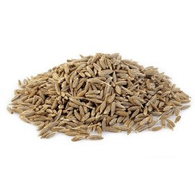 تصویر زیره سبز 10 کیلویی (عمده) 