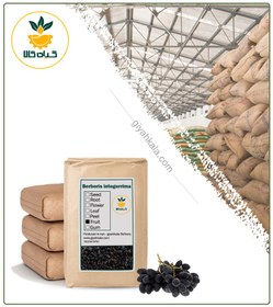 تصویر زرشک کوهی خشک فله 